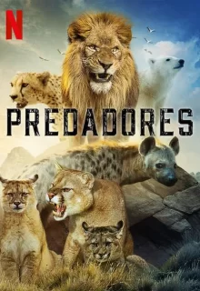 Хищники | Predators